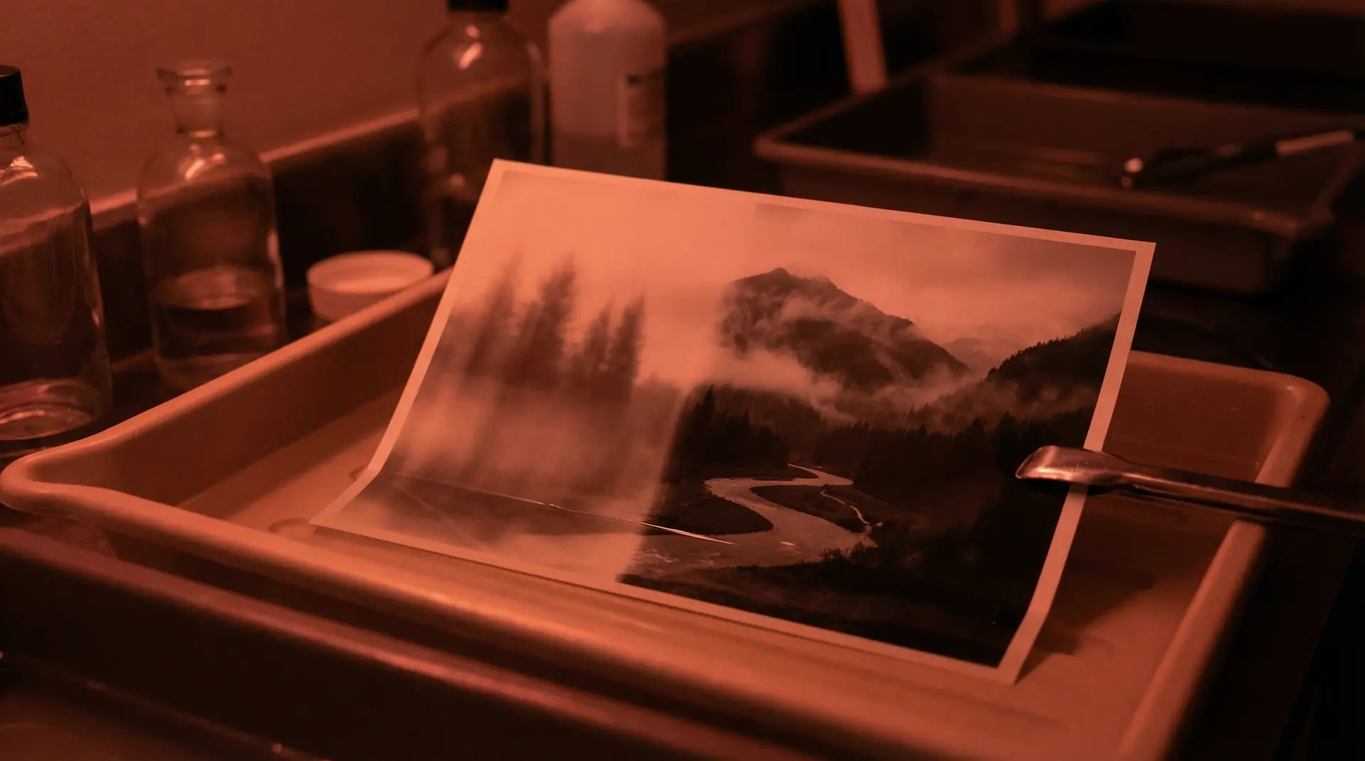 青柠TV在线观看 APP下载背景